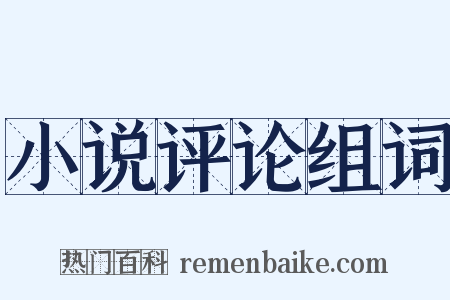 小说评论组词是什么意思的图片